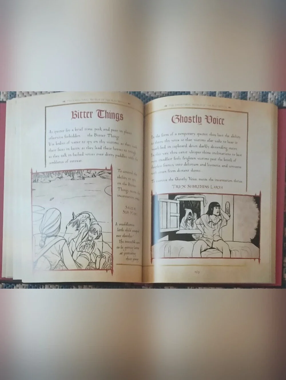 Disney Hocus Pocus Book